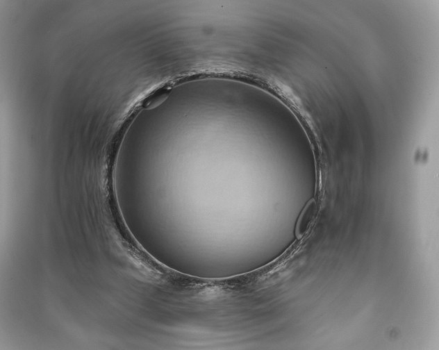 X0000090980249200708091504