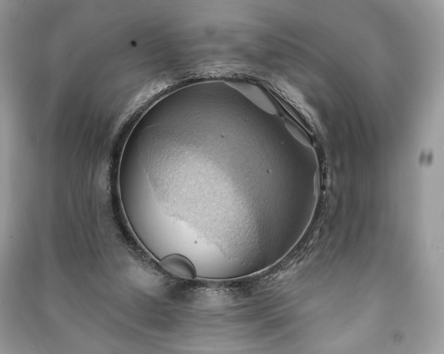 X0000090980250200708091504