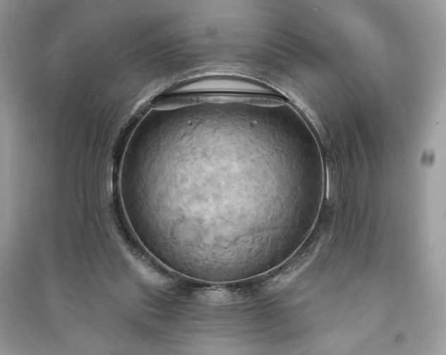 X0000090980253200708091504