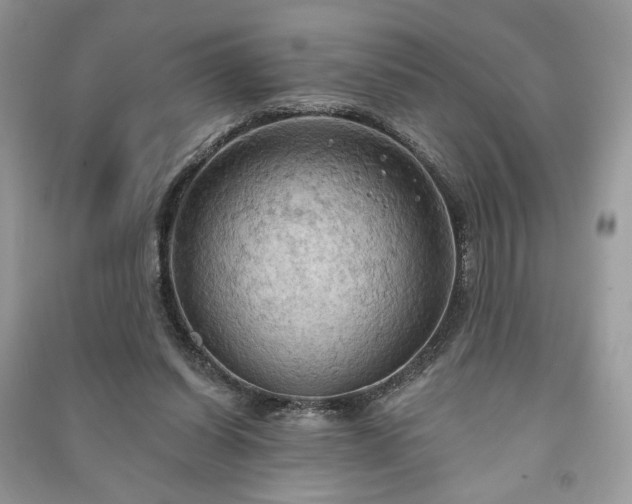 X0000090980254200708091504