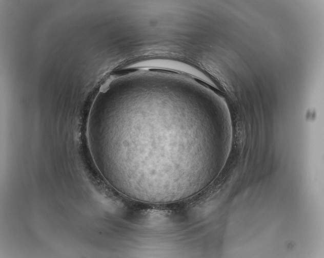 X0000090980255200708091504