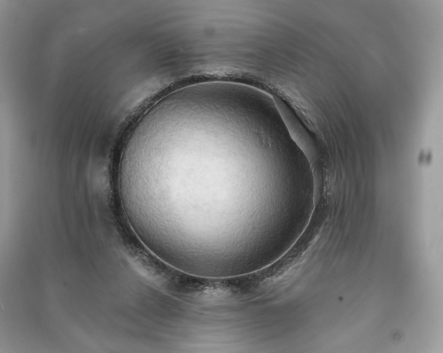 X0000090980256200708091504