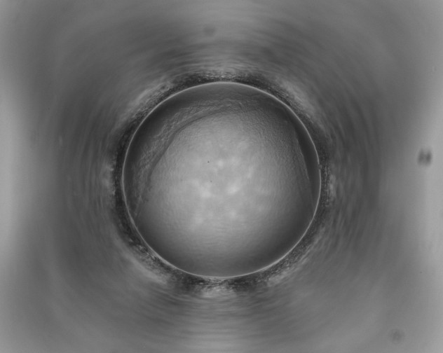 X0000090980258200708091504