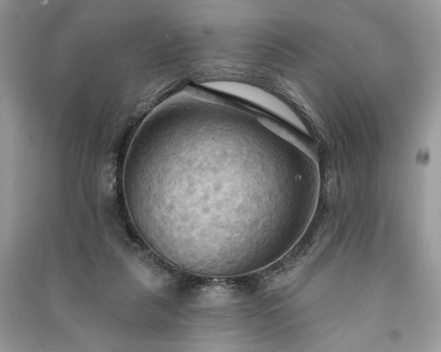 X0000090980259200708091504