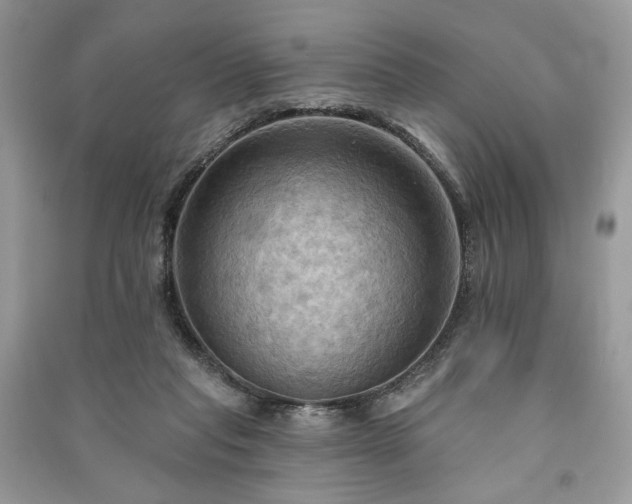 X0000090980261200708091504