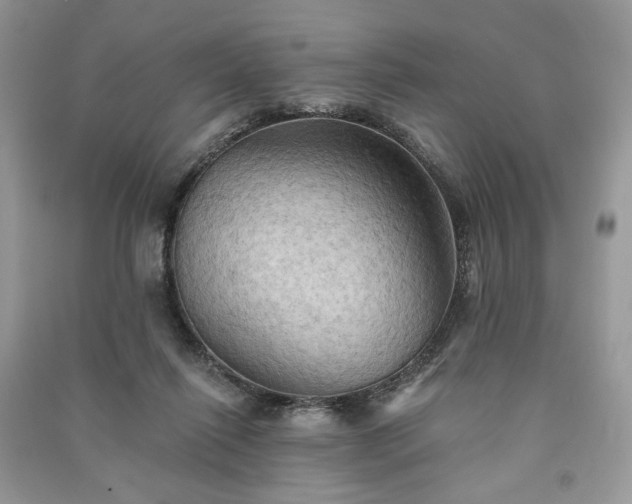 X0000090980262200708091504