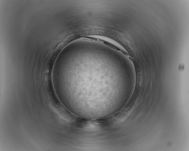 X0000090980263200708091504