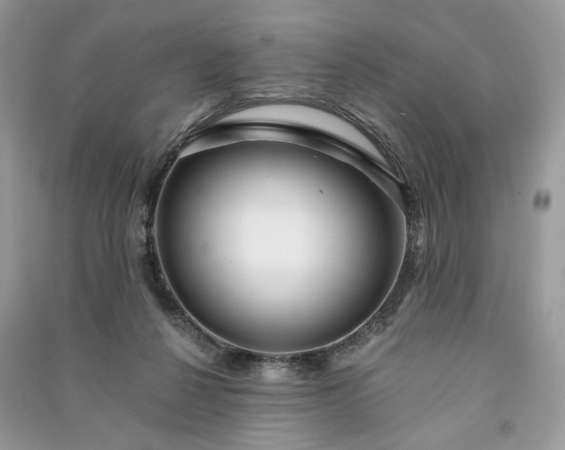 X0000090980264200708091504