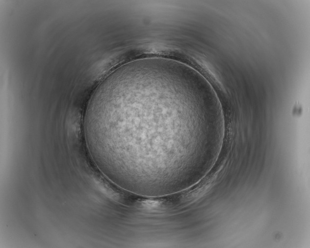 X0000090980265200708091504