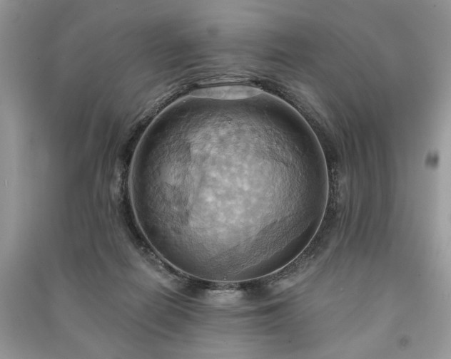 X0000090980266200708091504