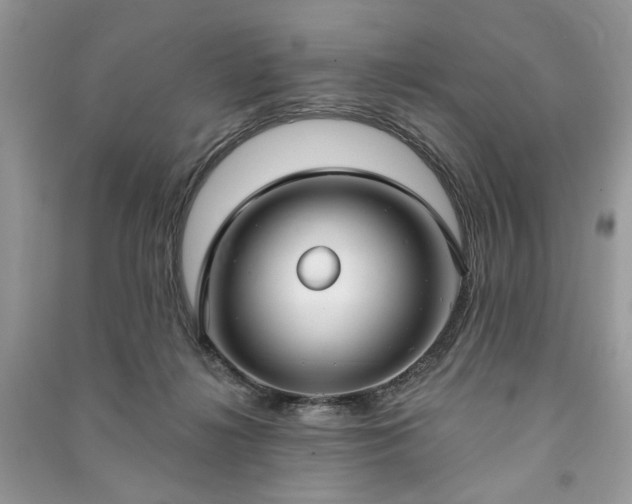 X0000090980268200708091504