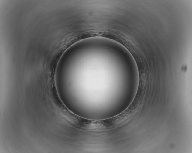 X0000090980270200708091504