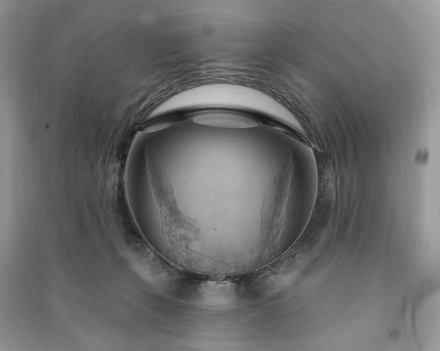 X0000090980271200708091504