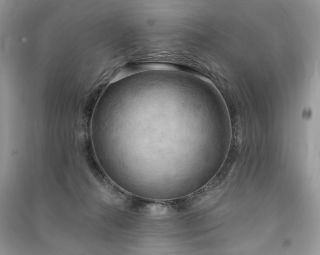 X0000090980272200708091504