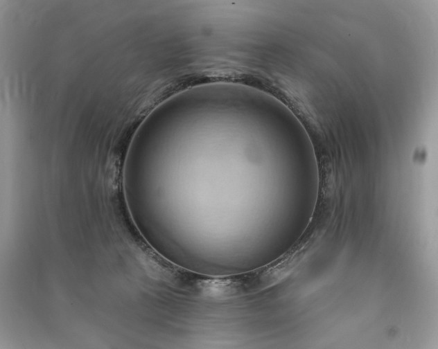 X0000090980273200708091504