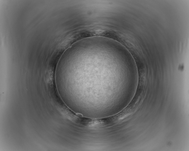 X0000090980274200708091504