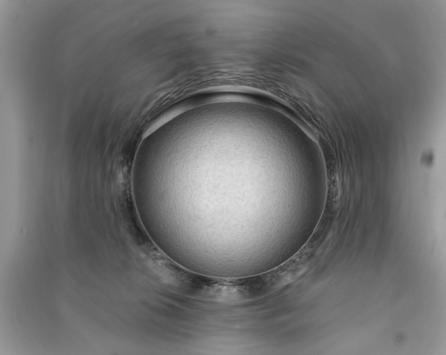 X0000090980276200708091504