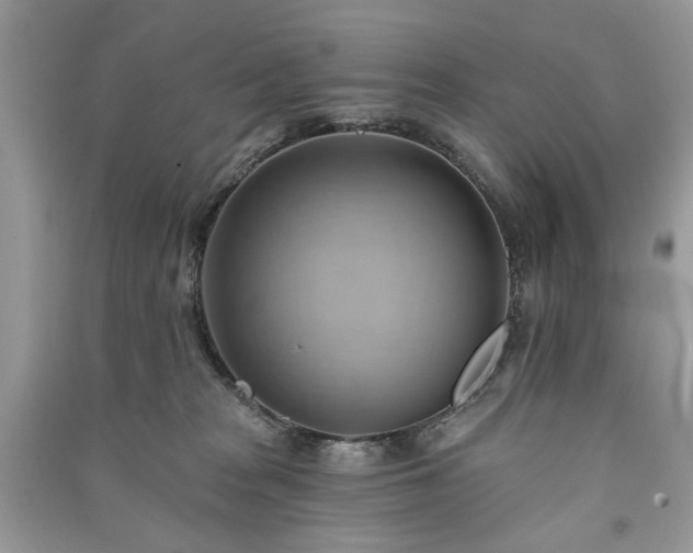 X0000090980277200708091504