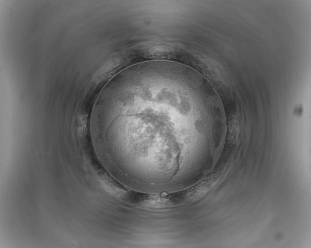 X0000090980278200708091504