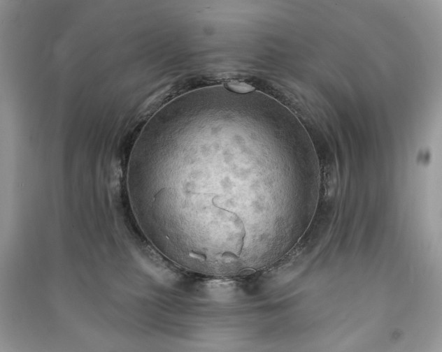 X0000090980279200708091504