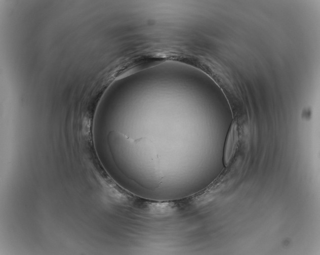 X0000090980281200708091504
