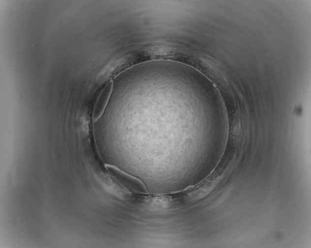 X0000090980282200708091504