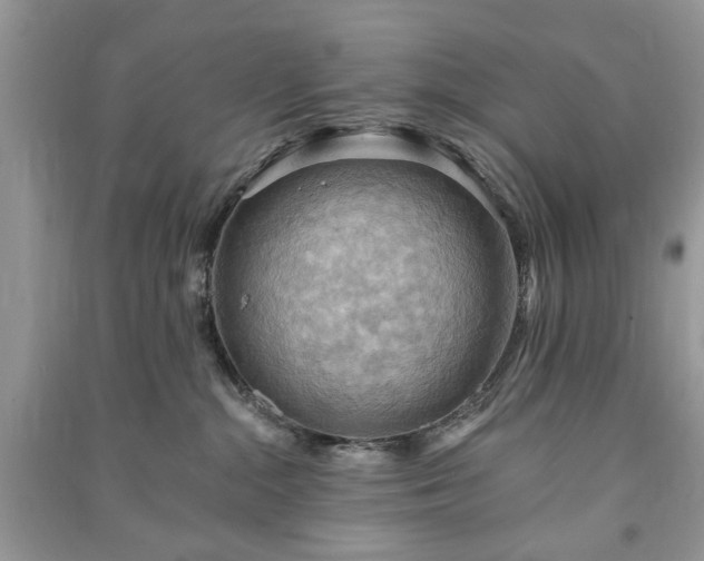 X0000090980284200708091504