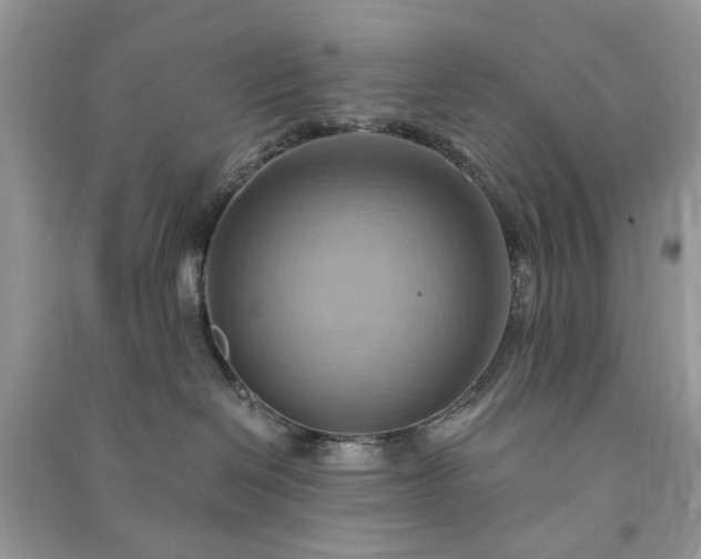 X0000090980286200708091504
