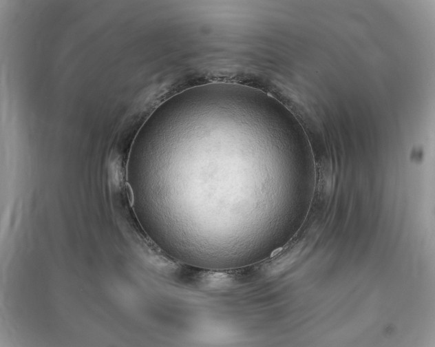 X0000090980287200708091504