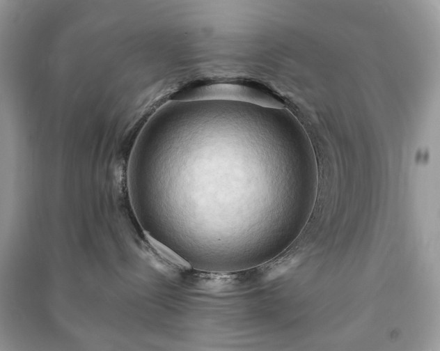 X0000090980288200708091504
