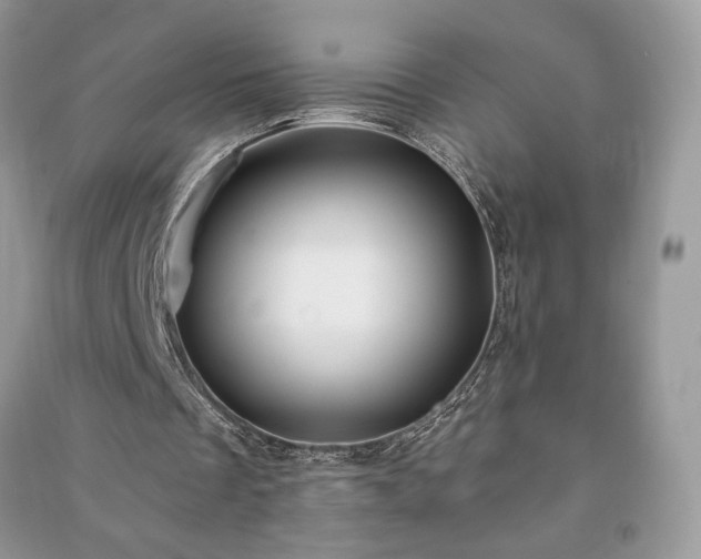 X0000090980289200708091503