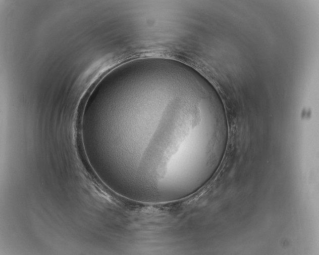 X0000090980290200708091503