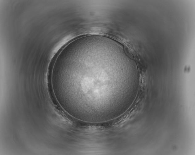 X0000090980292200708091503