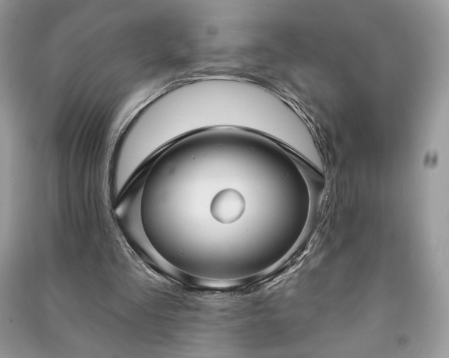 X0000090980293200708091503