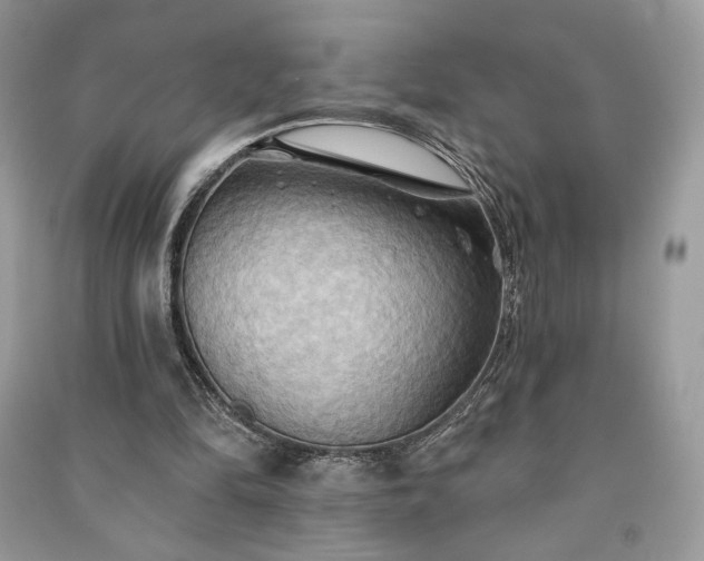X0000090980294200708091503