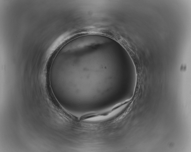 X0000090980295200708091503