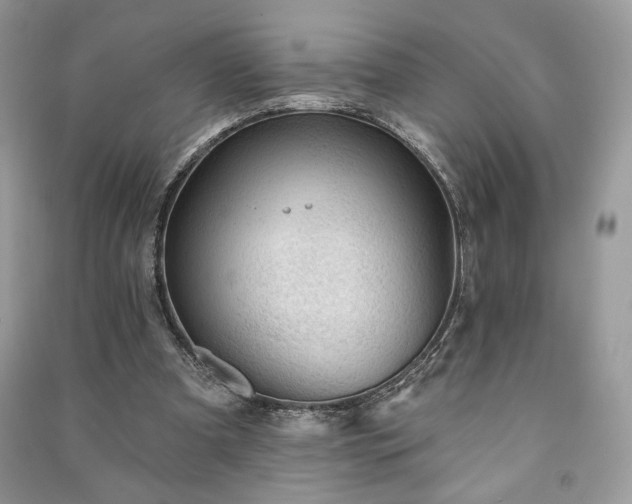 X0000090980297200708091503
