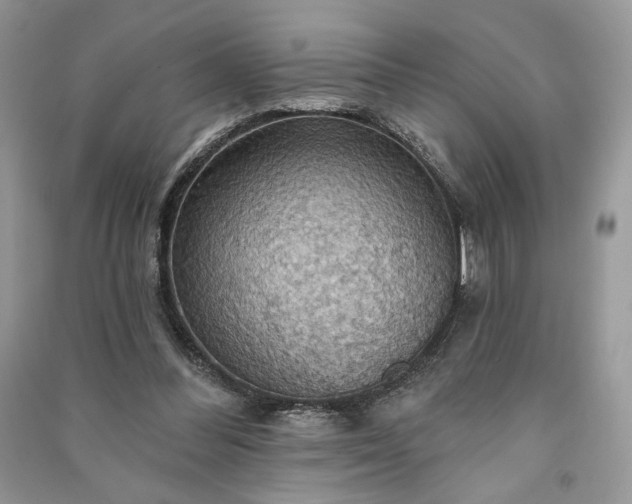 X0000090980300200708091503