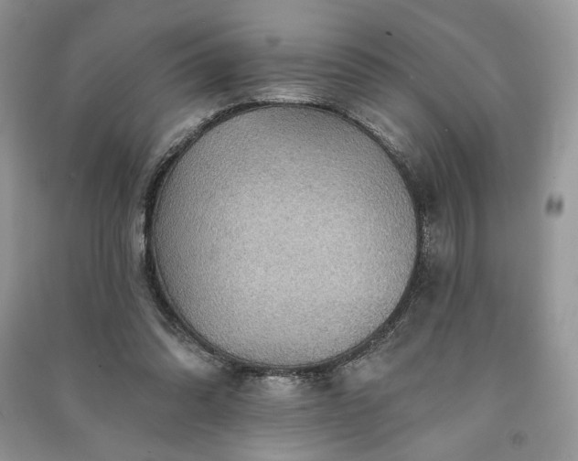 X0000090980302200708091503