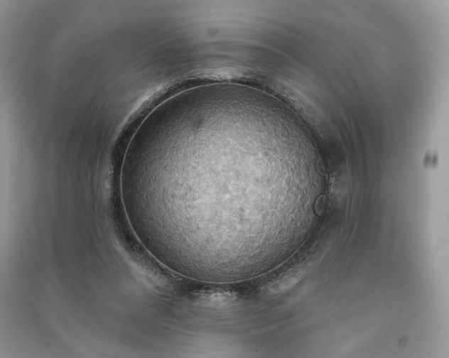 X0000090980304200708091503