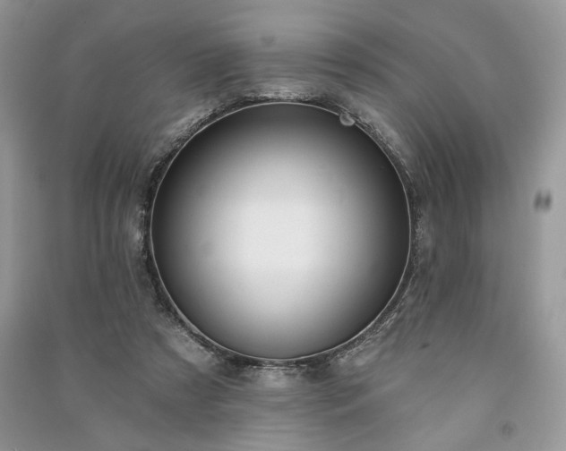 X0000090980305200708091503