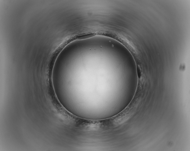 X0000090980306200708091503