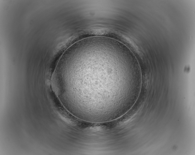 X0000090980307200708091503