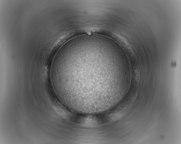 X0000090980308200708091503