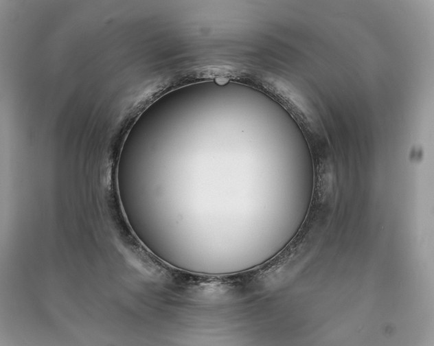 X0000090980310200708091503