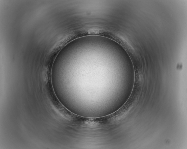X0000090980311200708091503