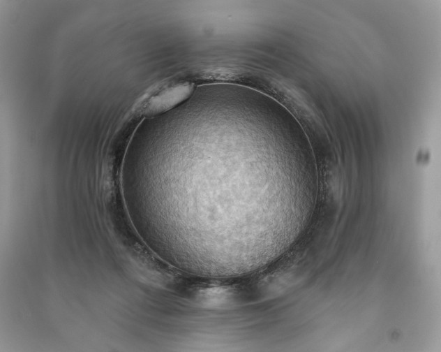 X0000090980312200708091503