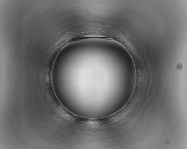 X0000090980313200708091503