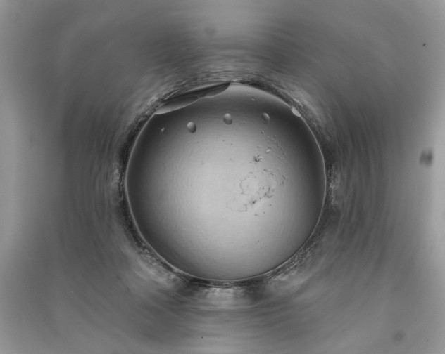 X0000090980314200708091503