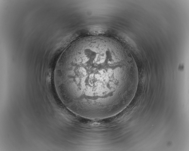 X0000090980315200708091503
